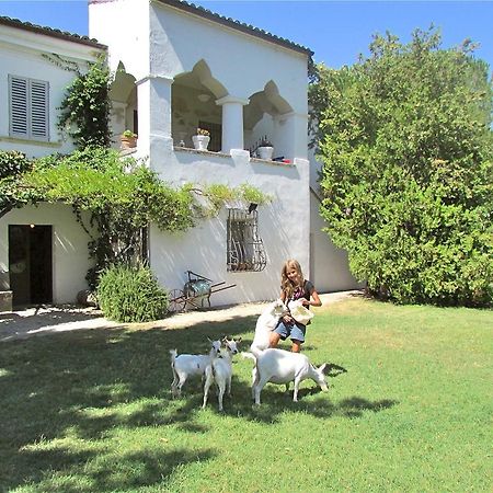 Tocco da Casauria Agriturismo "Borgo Madonna Degli Angeli" - Charming Cottages In The Gardens ! מראה חיצוני תמונה