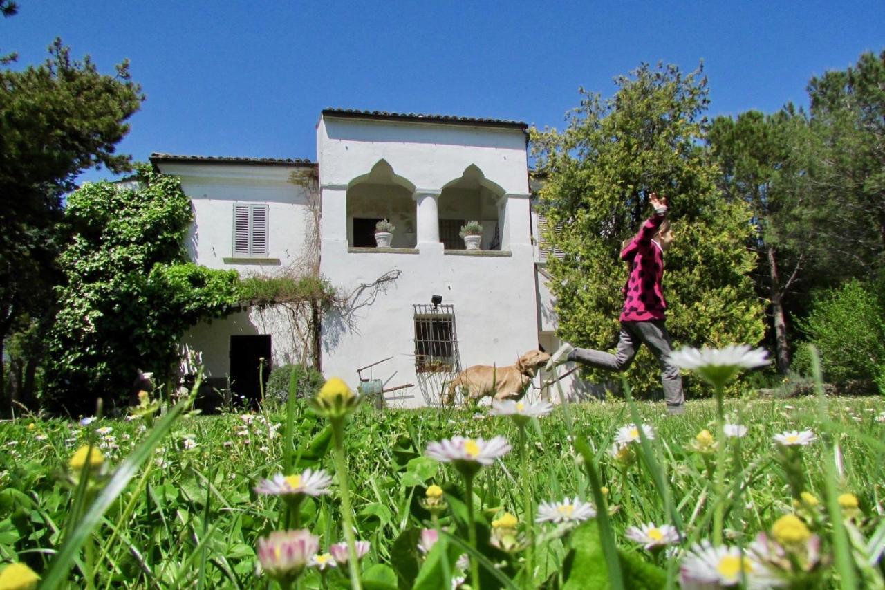 Tocco da Casauria Agriturismo "Borgo Madonna Degli Angeli" - Charming Cottages In The Gardens ! מראה חיצוני תמונה