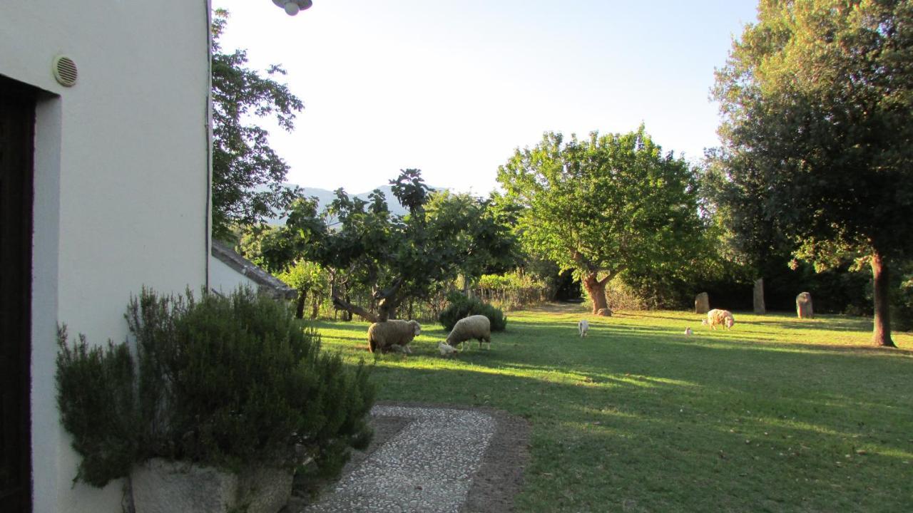 Tocco da Casauria Agriturismo "Borgo Madonna Degli Angeli" - Charming Cottages In The Gardens ! מראה חיצוני תמונה