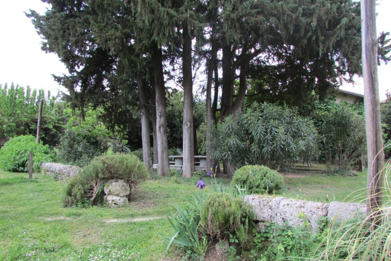 Tocco da Casauria Agriturismo "Borgo Madonna Degli Angeli" - Charming Cottages In The Gardens ! מראה חיצוני תמונה