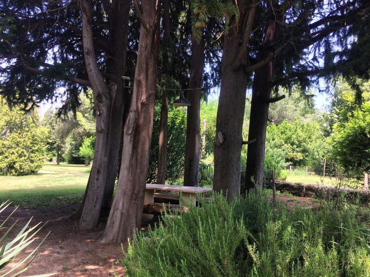 Tocco da Casauria Agriturismo "Borgo Madonna Degli Angeli" - Charming Cottages In The Gardens ! מראה חיצוני תמונה