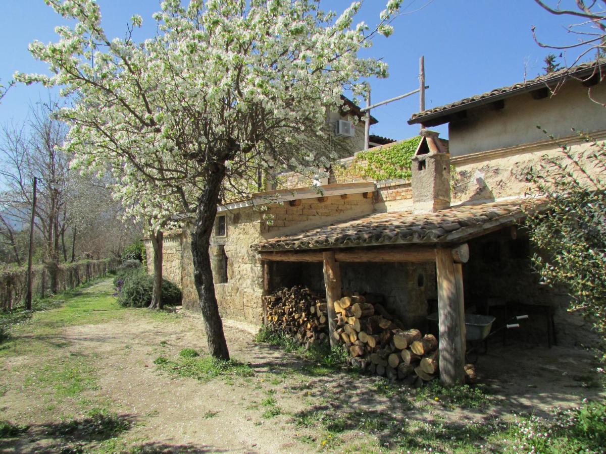 Tocco da Casauria Agriturismo "Borgo Madonna Degli Angeli" - Charming Cottages In The Gardens ! מראה חיצוני תמונה