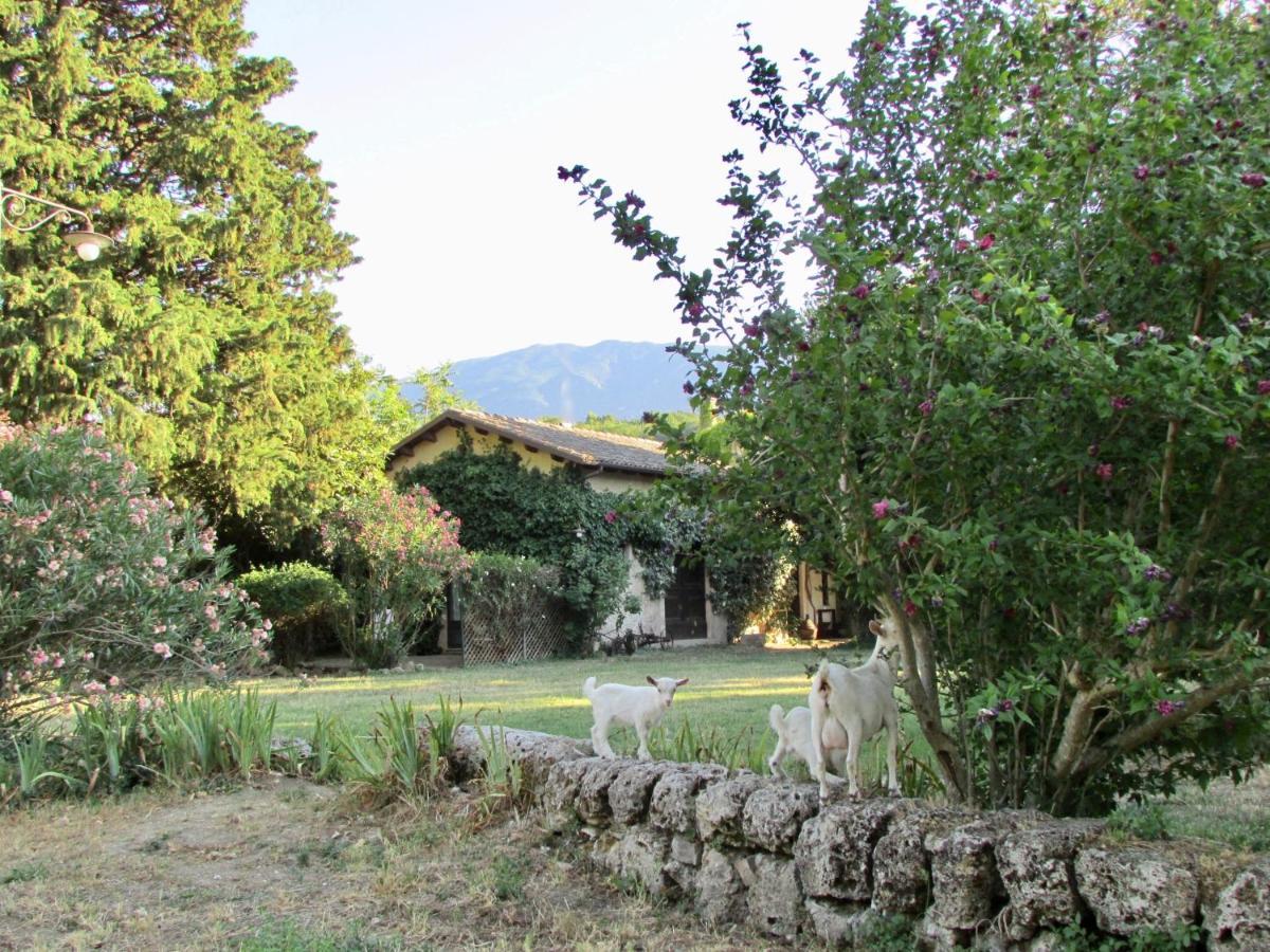Tocco da Casauria Agriturismo "Borgo Madonna Degli Angeli" - Charming Cottages In The Gardens ! מראה חיצוני תמונה