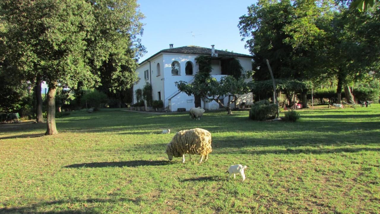 Tocco da Casauria Agriturismo "Borgo Madonna Degli Angeli" - Charming Cottages In The Gardens ! מראה חיצוני תמונה