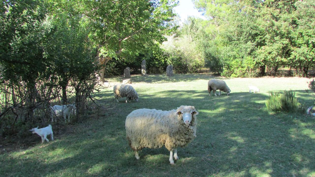 Tocco da Casauria Agriturismo "Borgo Madonna Degli Angeli" - Charming Cottages In The Gardens ! מראה חיצוני תמונה