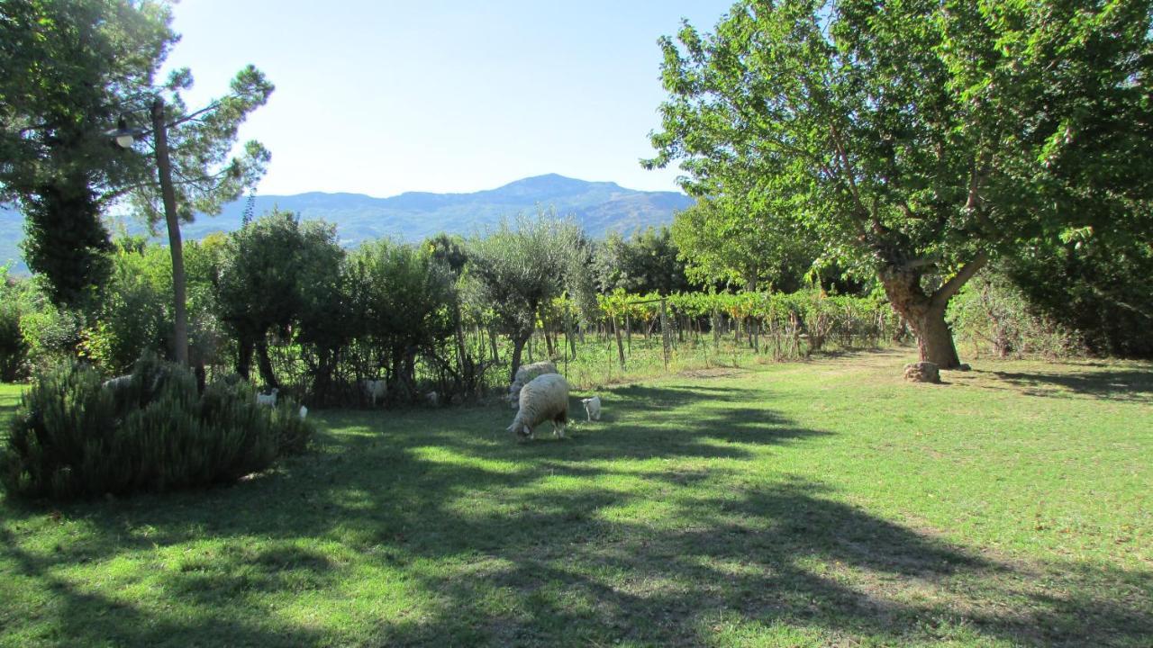 Tocco da Casauria Agriturismo "Borgo Madonna Degli Angeli" - Charming Cottages In The Gardens ! מראה חיצוני תמונה