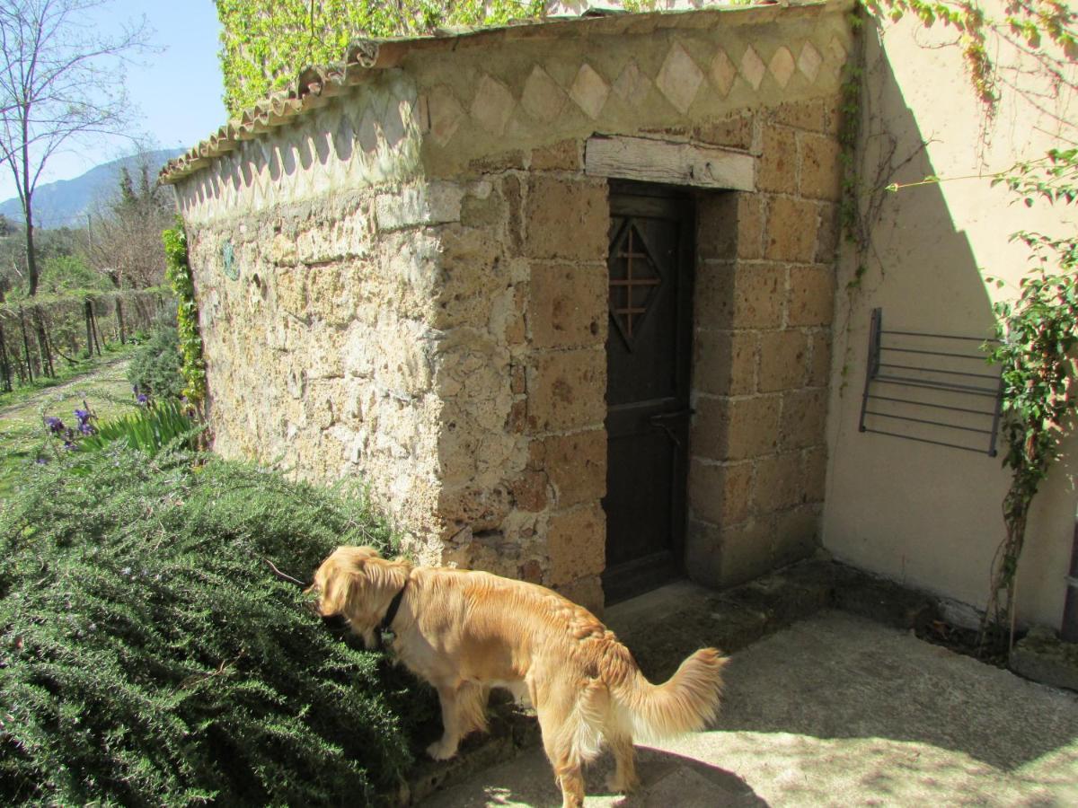 Tocco da Casauria Agriturismo "Borgo Madonna Degli Angeli" - Charming Cottages In The Gardens ! מראה חיצוני תמונה