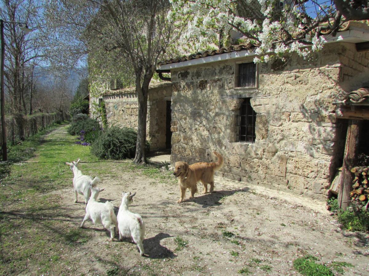 Tocco da Casauria Agriturismo "Borgo Madonna Degli Angeli" - Charming Cottages In The Gardens ! מראה חיצוני תמונה