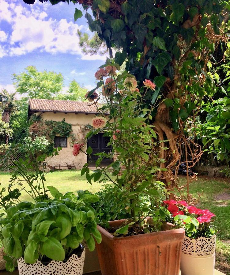 Tocco da Casauria Agriturismo "Borgo Madonna Degli Angeli" - Charming Cottages In The Gardens ! מראה חיצוני תמונה