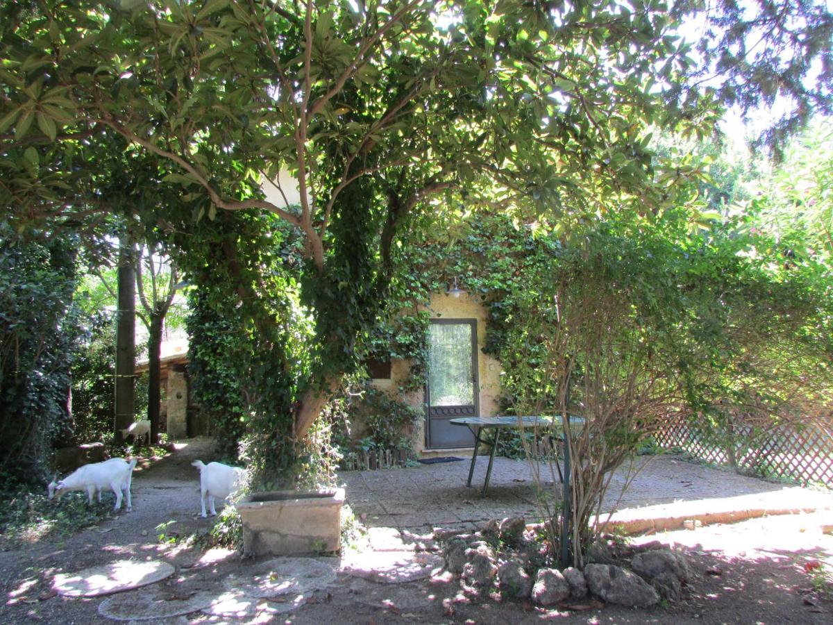 Tocco da Casauria Agriturismo "Borgo Madonna Degli Angeli" - Charming Cottages In The Gardens ! מראה חיצוני תמונה