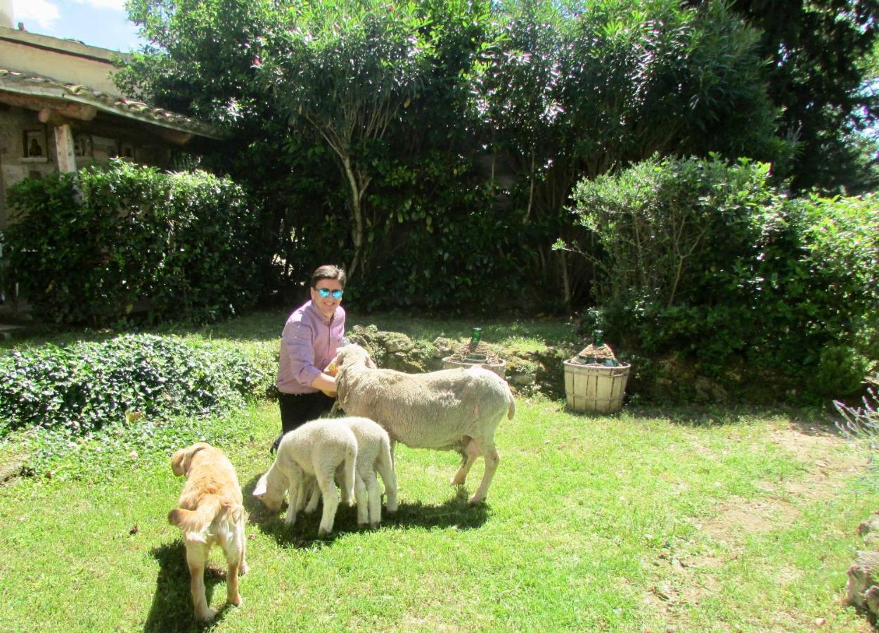 Tocco da Casauria Agriturismo "Borgo Madonna Degli Angeli" - Charming Cottages In The Gardens ! מראה חיצוני תמונה