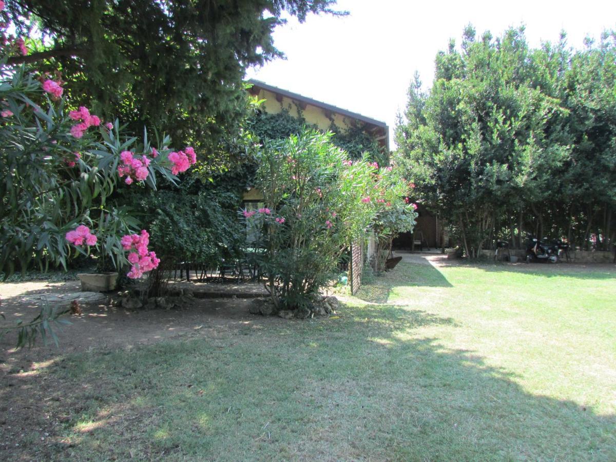 Tocco da Casauria Agriturismo "Borgo Madonna Degli Angeli" - Charming Cottages In The Gardens ! מראה חיצוני תמונה