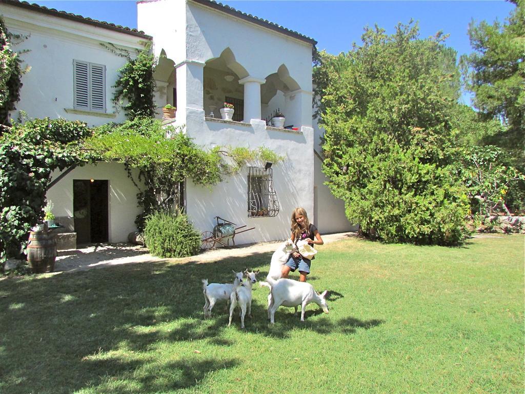 Tocco da Casauria Agriturismo "Borgo Madonna Degli Angeli" - Charming Cottages In The Gardens ! מראה חיצוני תמונה